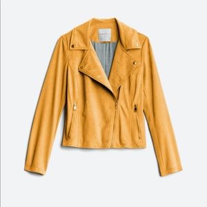 Bagatelle Kelby faux suede moto jacket NWT!!